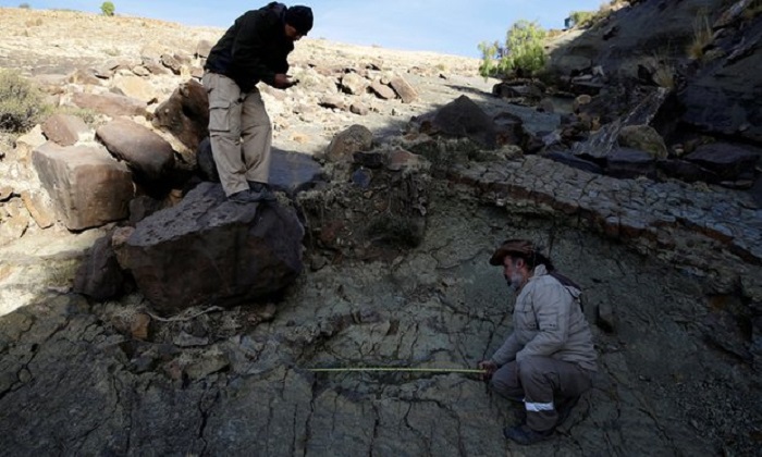 Bolivia tourist guide discovers dinosaur footprint nearly 4ft wide 